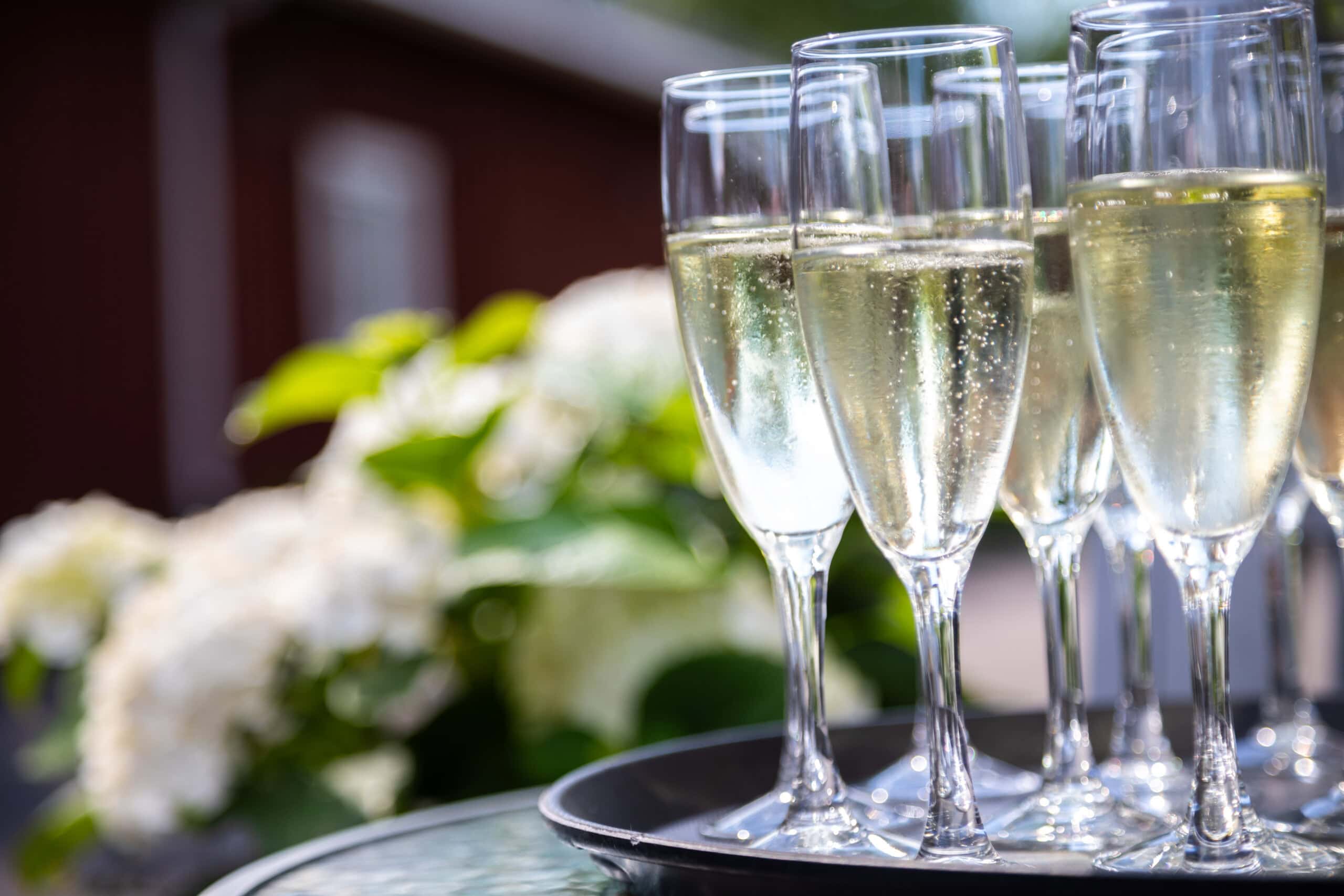 Delicatessen mukana Kasvu Open -sparrausohjelmassa!